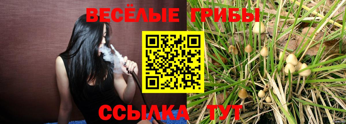 Псилоцибиновые грибы мухоморы Подольск