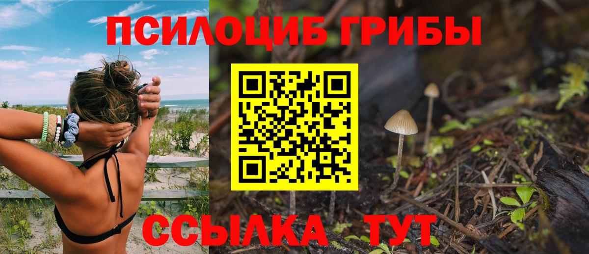 Галлюциногенные грибы мицелий  Псилоцибиновые грибы мицелий  Вход с VPN  Подольск 